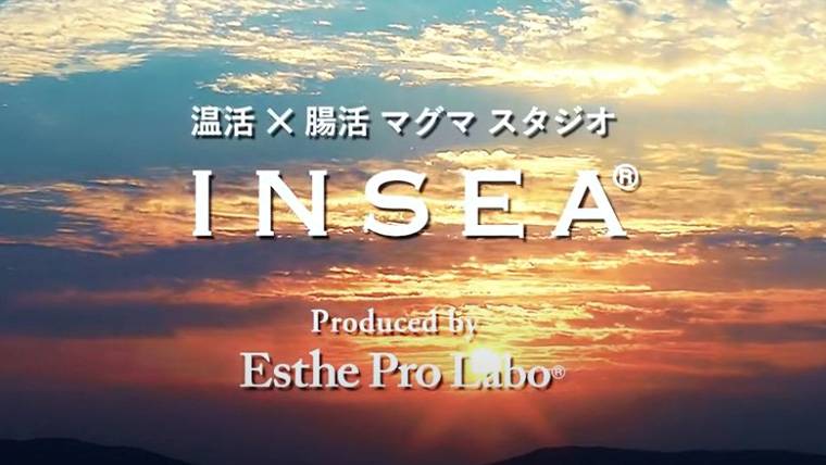 INSEA